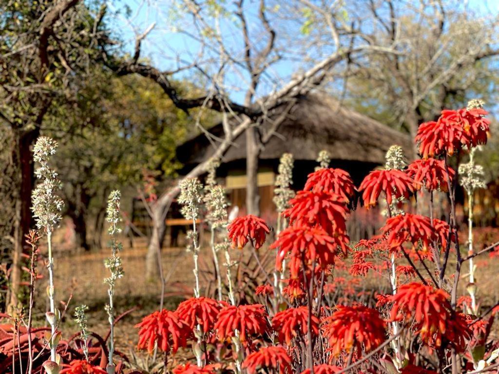 Shayamoya Tiger Fishing And Game Lodge Pongola Exterior foto