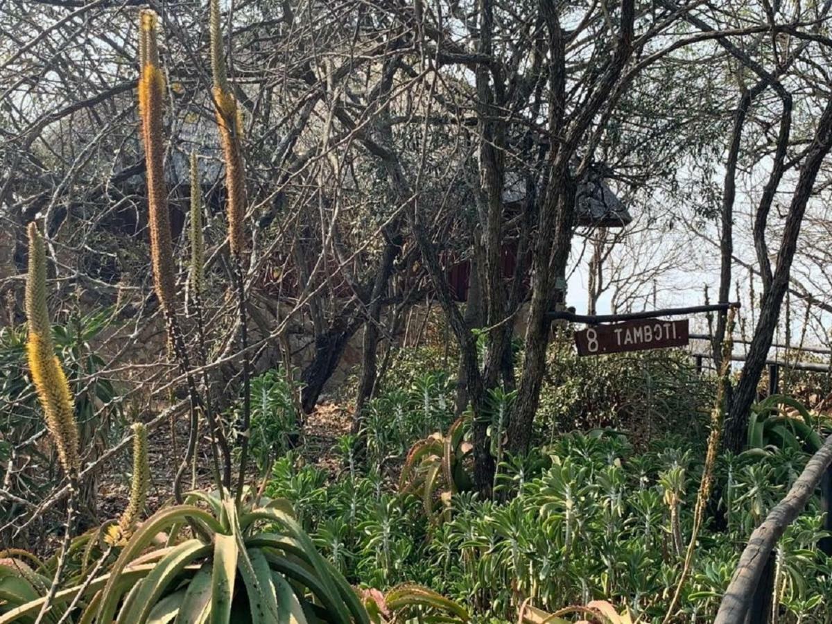 Shayamoya Tiger Fishing And Game Lodge Pongola Exterior foto